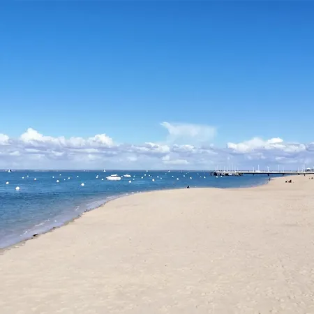 Διαμέρισμα Arcachon, 3 Pieces, 4 Personnes - Fr-1-420-143