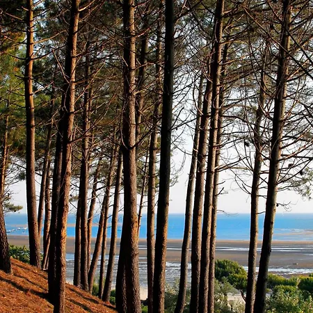Arcachon, 3 Pieces, 4 Personnes - Fr-1-420-143